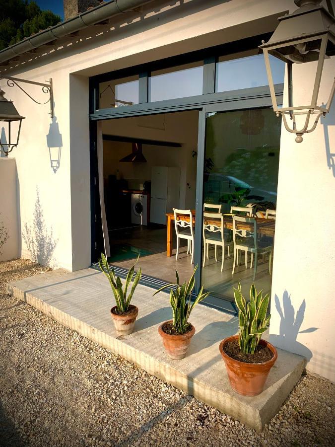 Viva La Vida Villa Entraigues-sur-la-Sorgue Ngoại thất bức ảnh